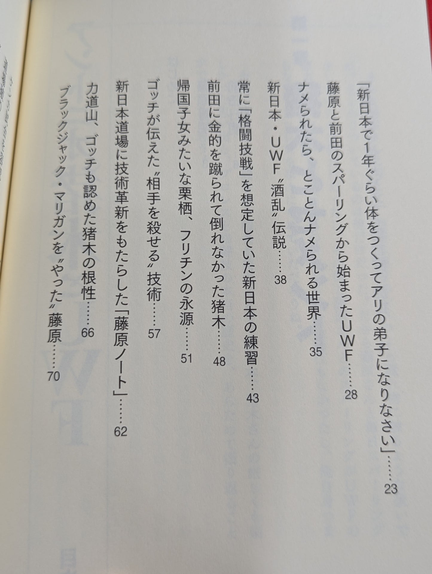 アントニオ猪木とUWF