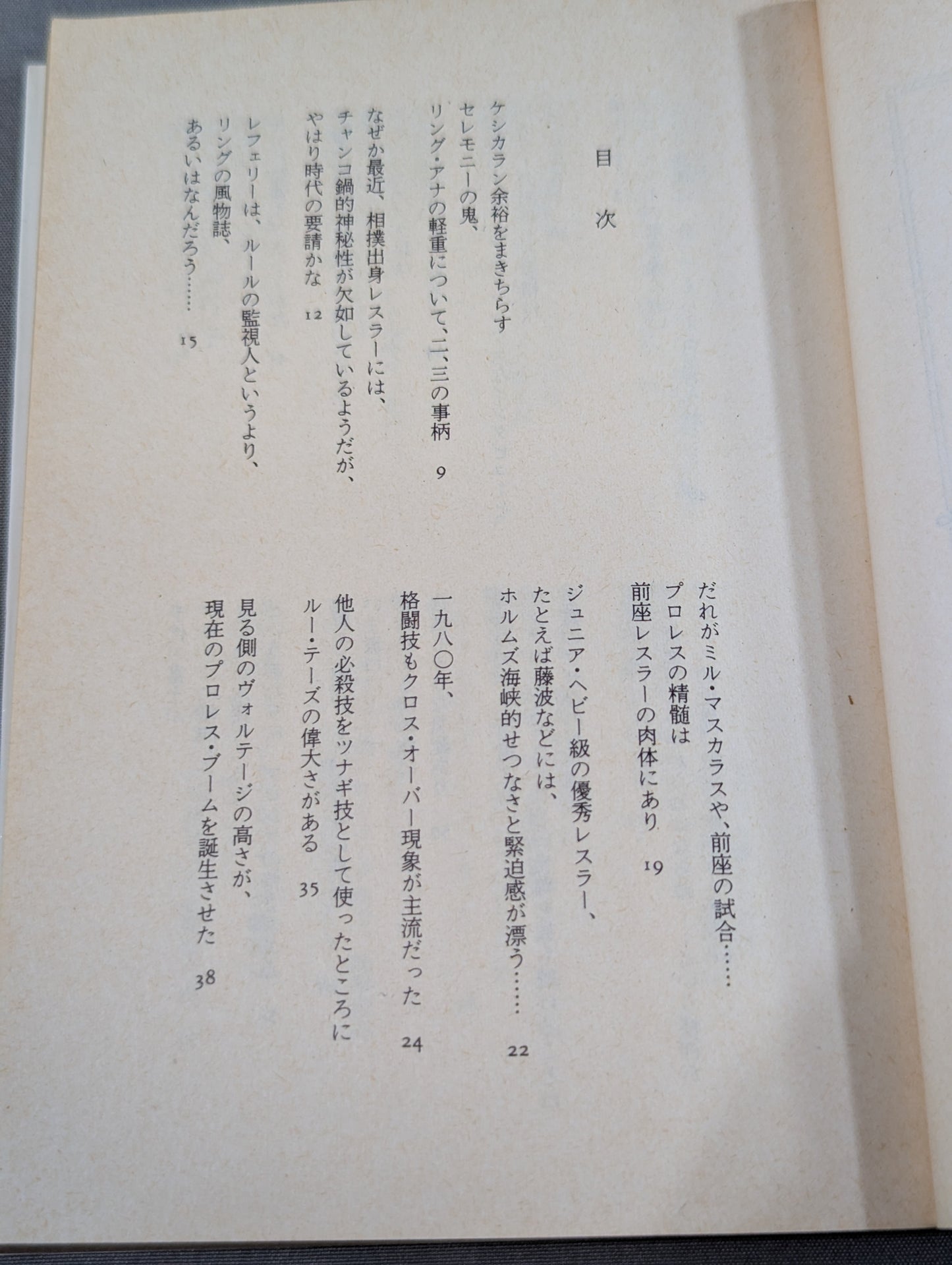 Tomoshi Muramatsu's Pro Wrestling School