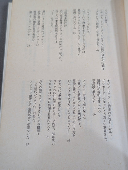 Tomoshi Muramatsu's Pro Wrestling School