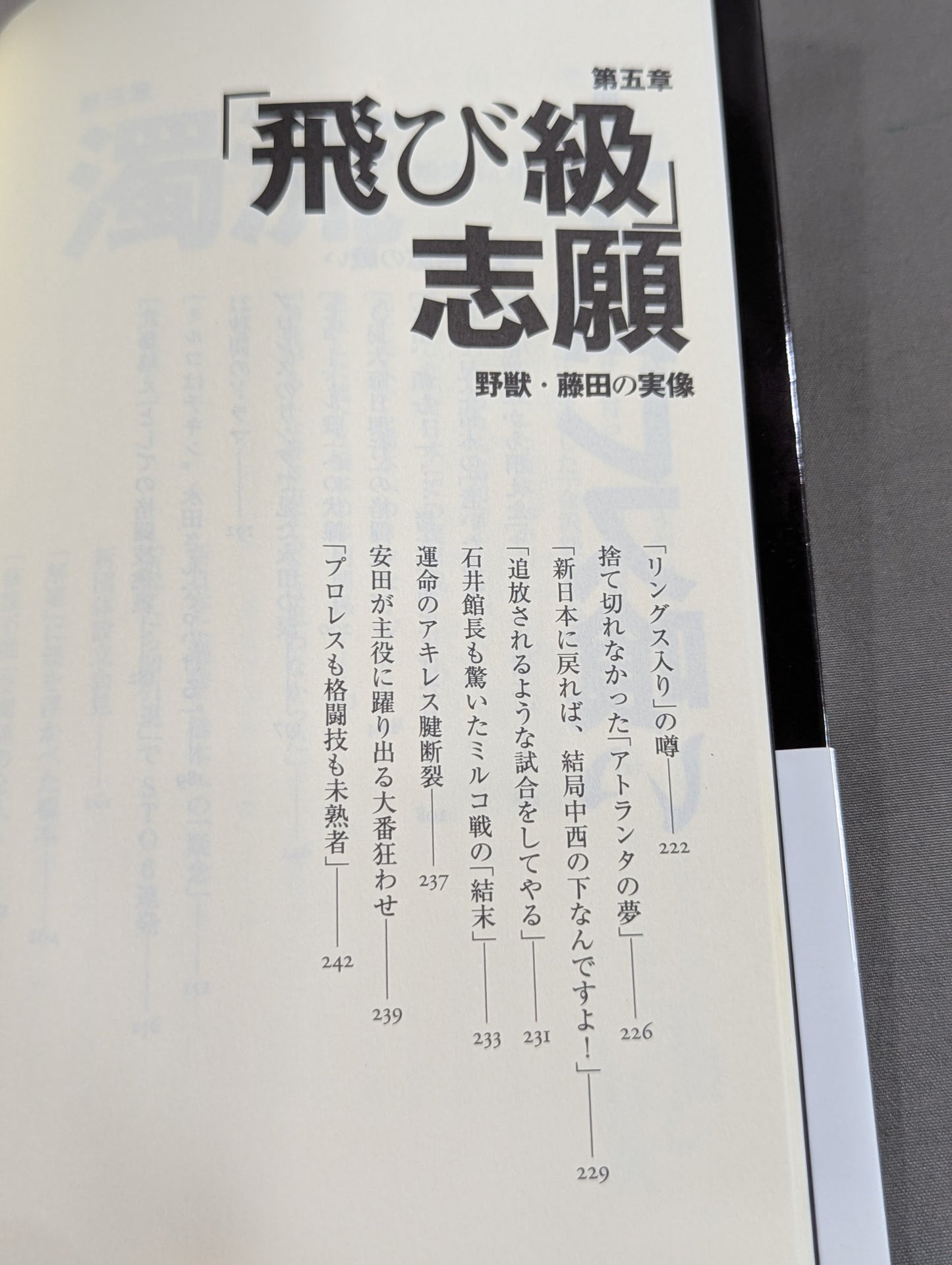 子殺し 猪木と新日本プロレスの10年戦争