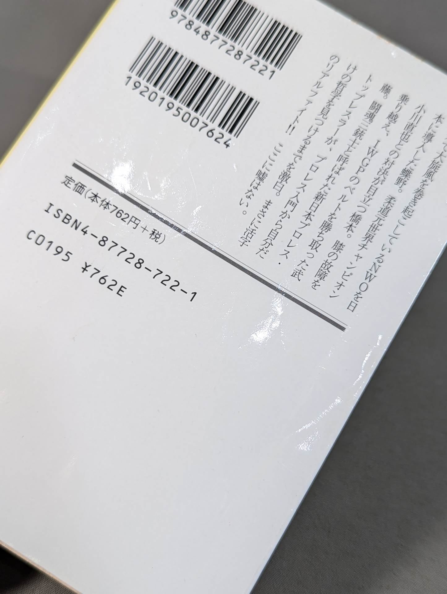 烈闘生 傷だらけの履歴書 増補改訂版