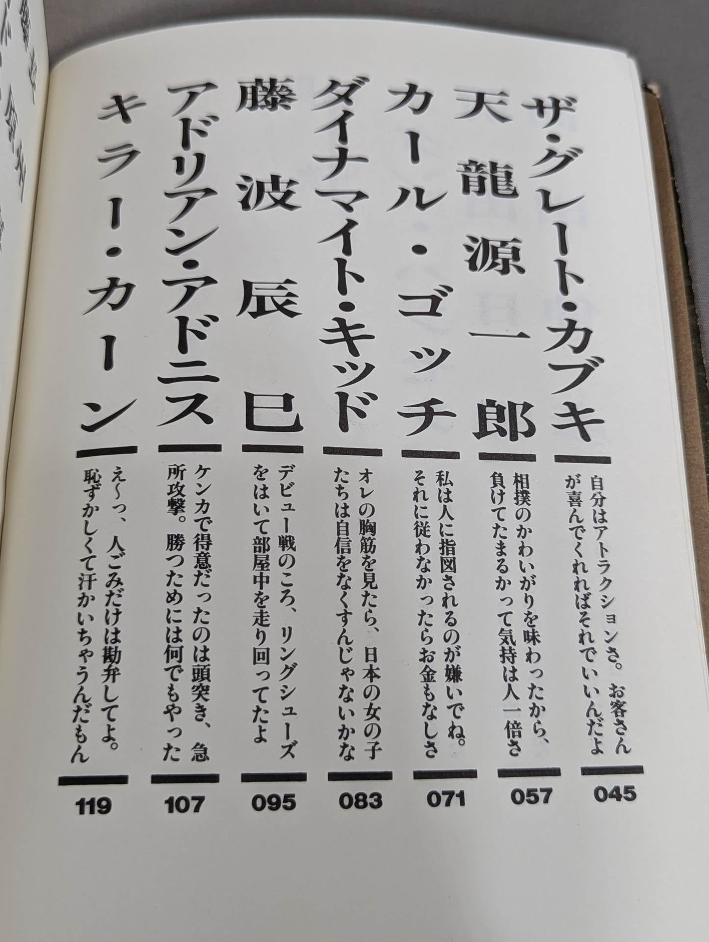 ザ・レスラー