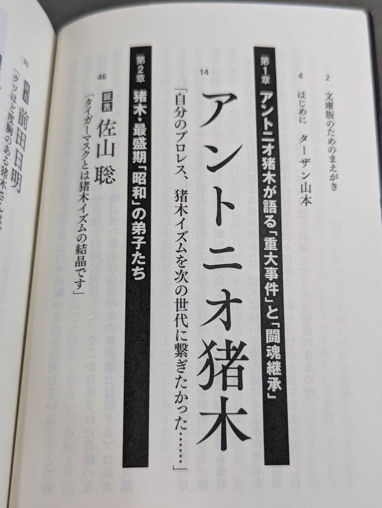 The Truth About Inoki Legend