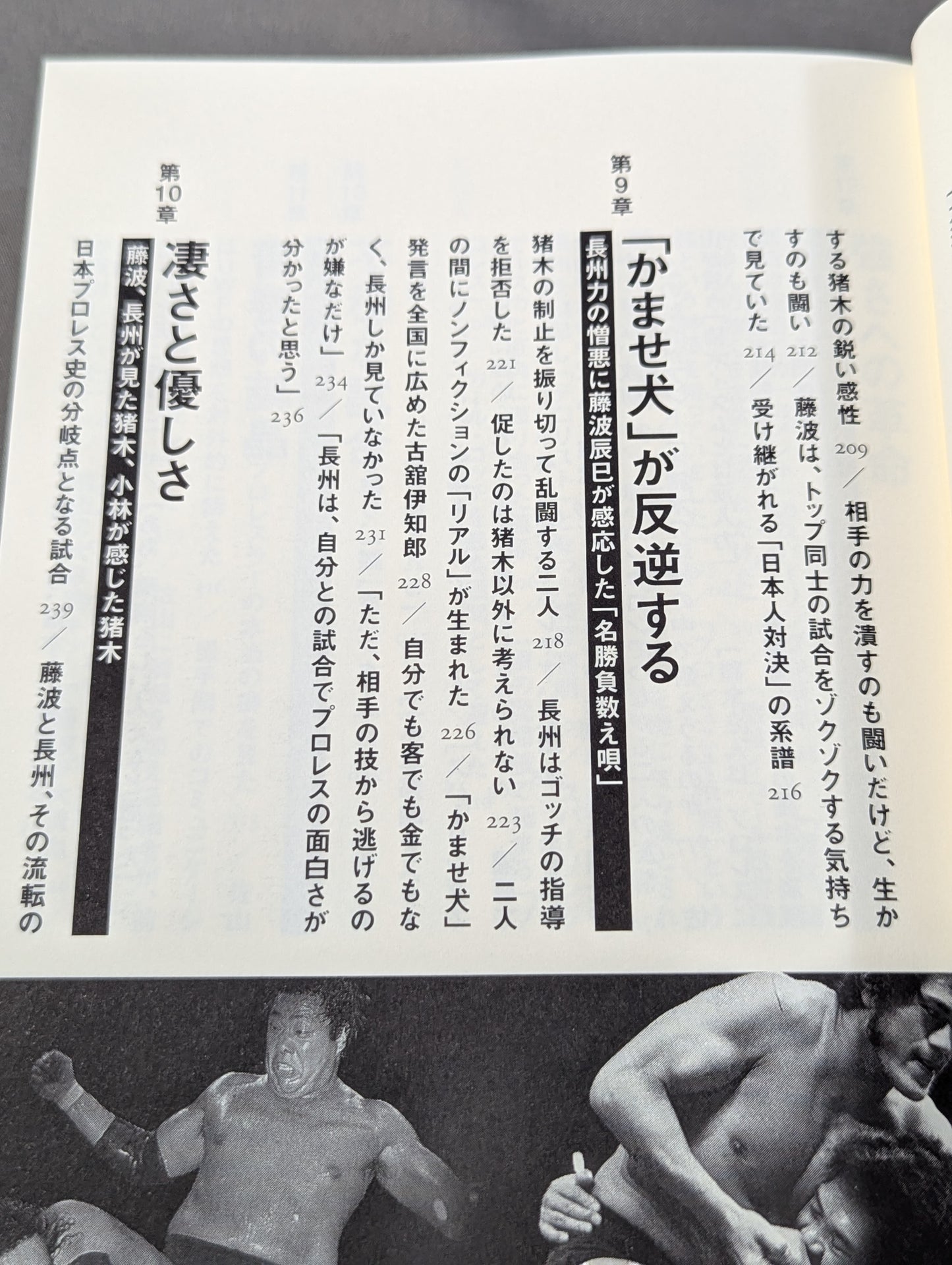 Showa Pro Wrestling  Forbidden Fight "Antonio Inoki  vs. Strong Kobayashi ignited a Japan showdown