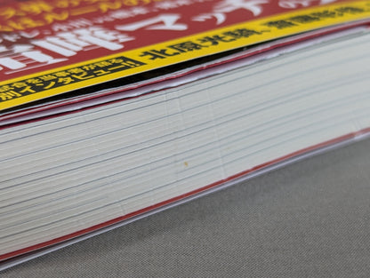 プロレス喧嘩マッチ伝説 あの不穏試合はなぜ生まれたのか?