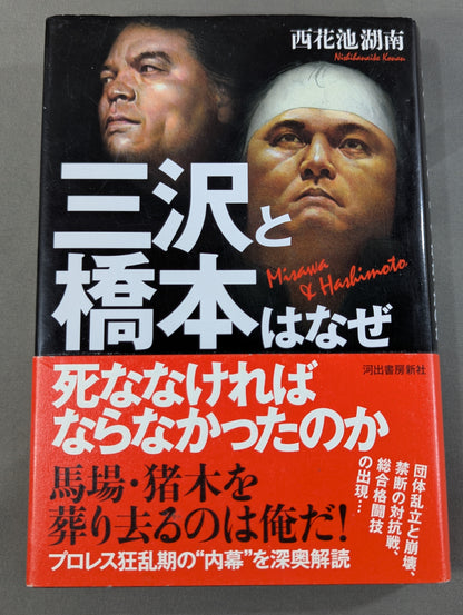 Why did Misawa and Hashimoto have to die?
