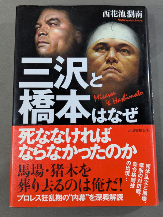 Why did Misawa and Hashimoto have to die?