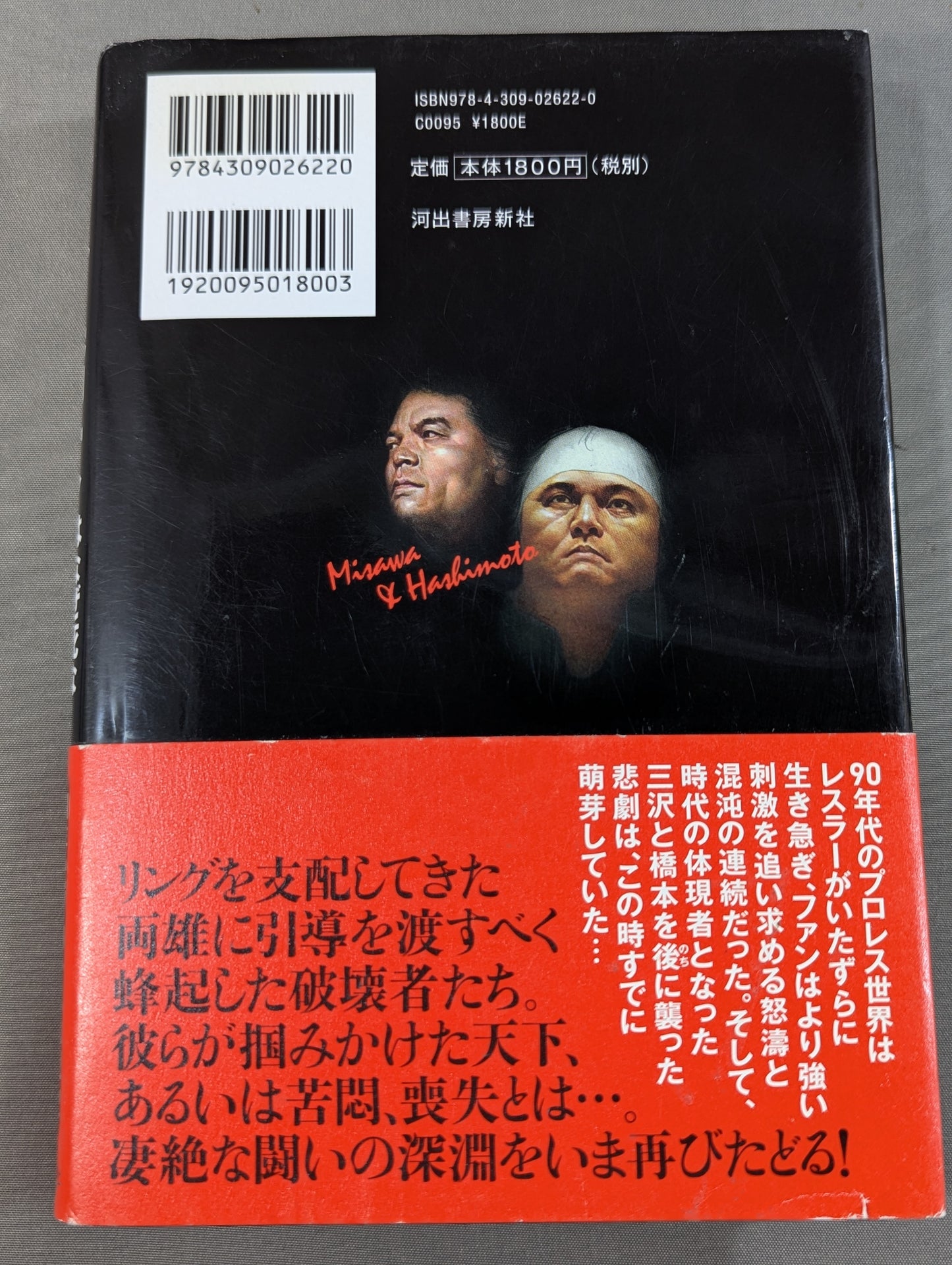 Why did Misawa and Hashimoto have to die?