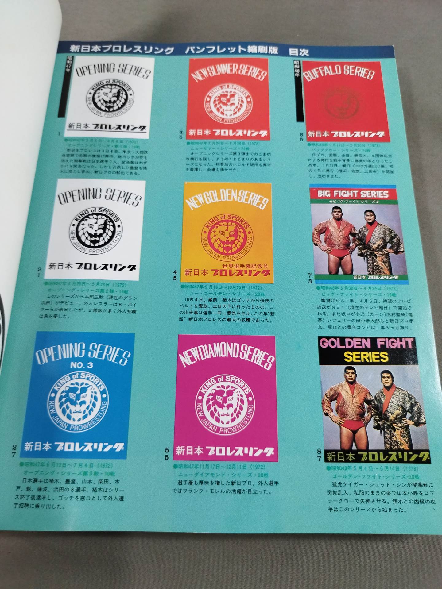 New Japan Pro Wrestling Pro-wrestling  Condensed version of the pamphlet Volume 1 [Permanent Preservation Version]