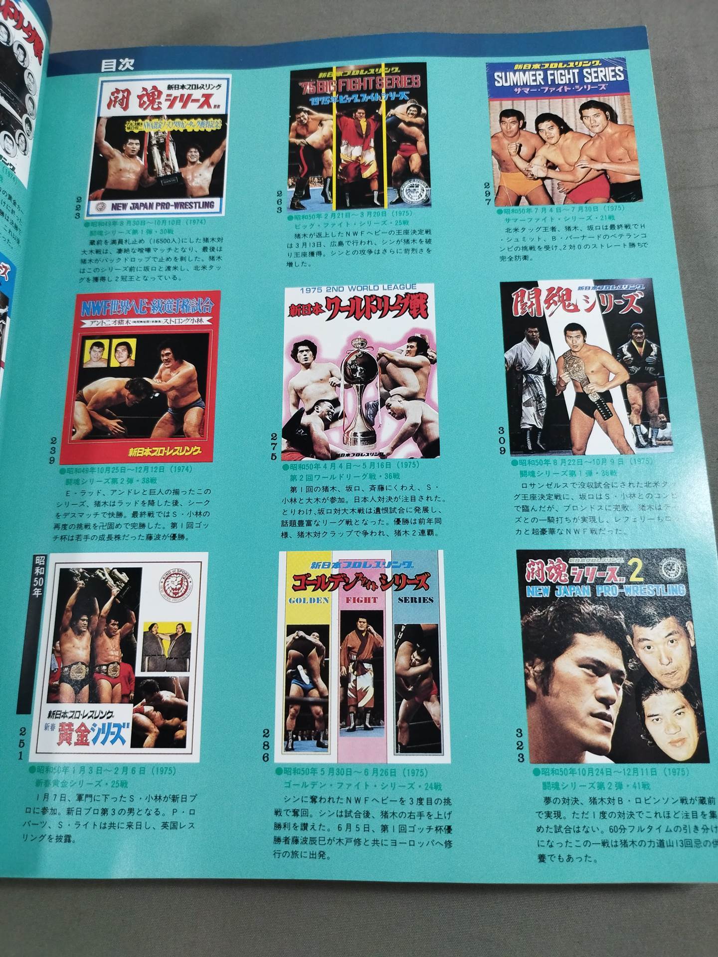 New Japan Pro Wrestling Pro-wrestling  Condensed version of the pamphlet Volume 1 [Permanent Preservation Version]