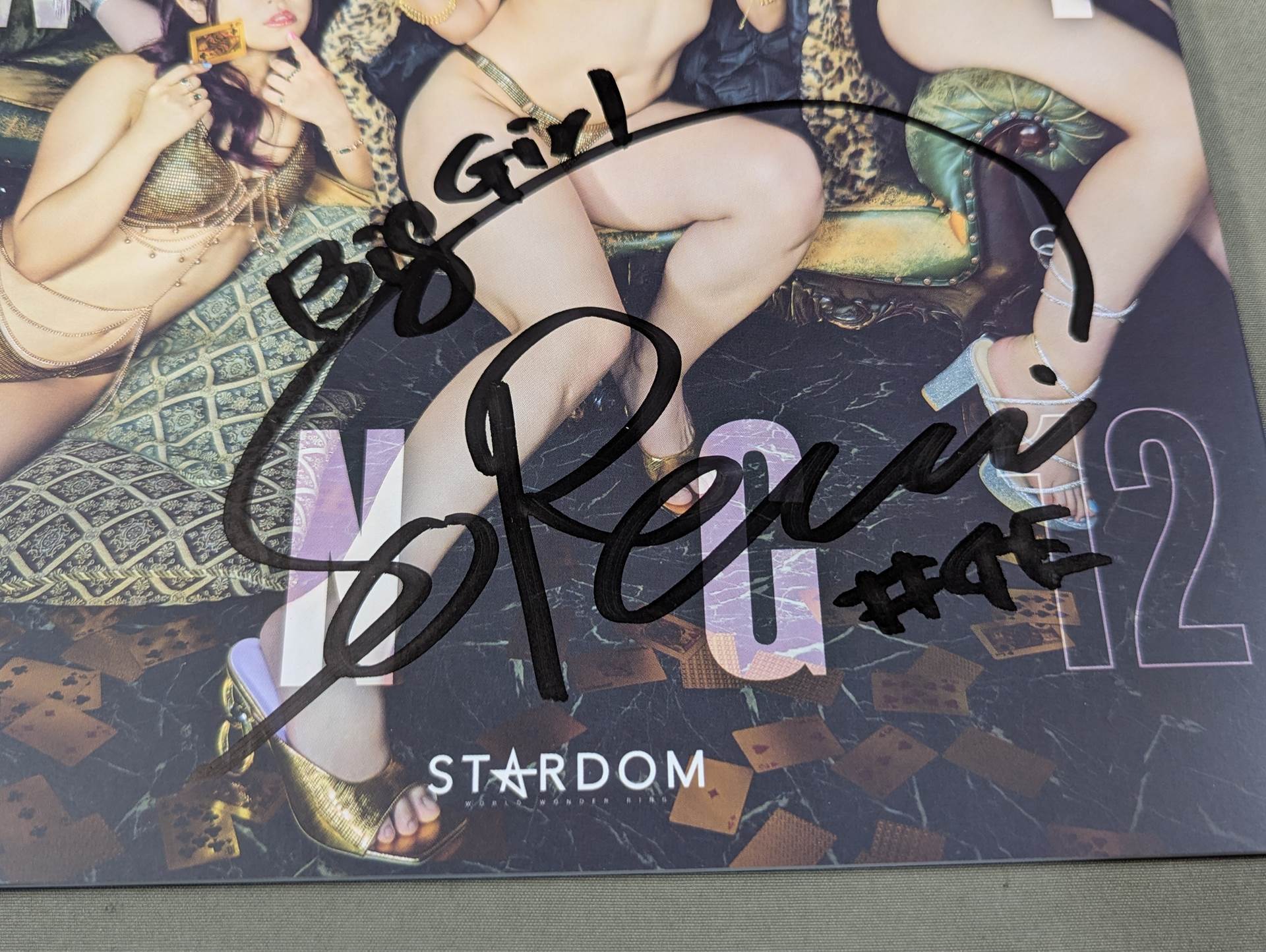 壮麗亜美 直筆サイン入り】STARDOM VISUAL BOOK Bikiniing 12 – 闘道館