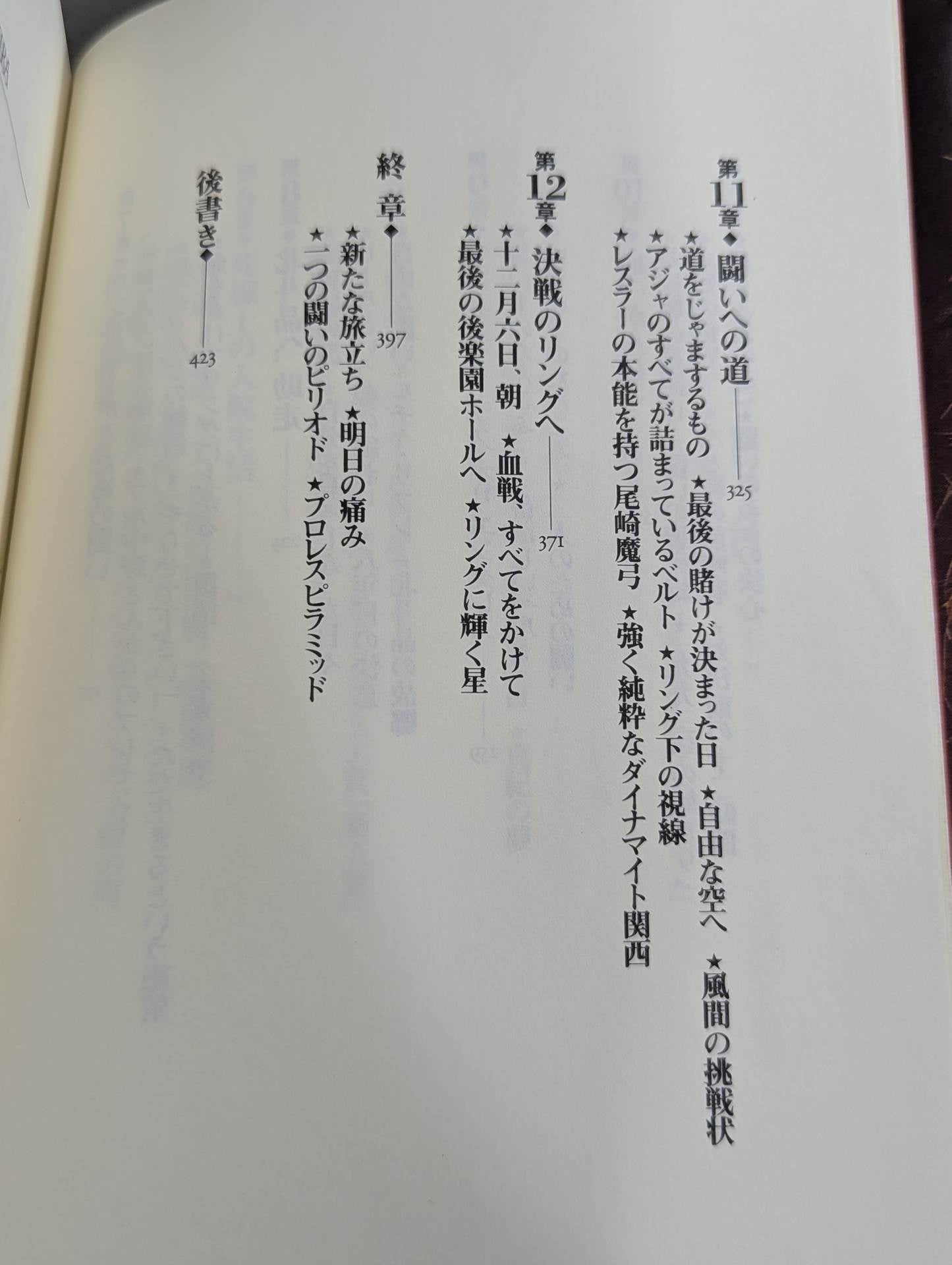 Bloody Crowning Akira Hokuto's Autobiography