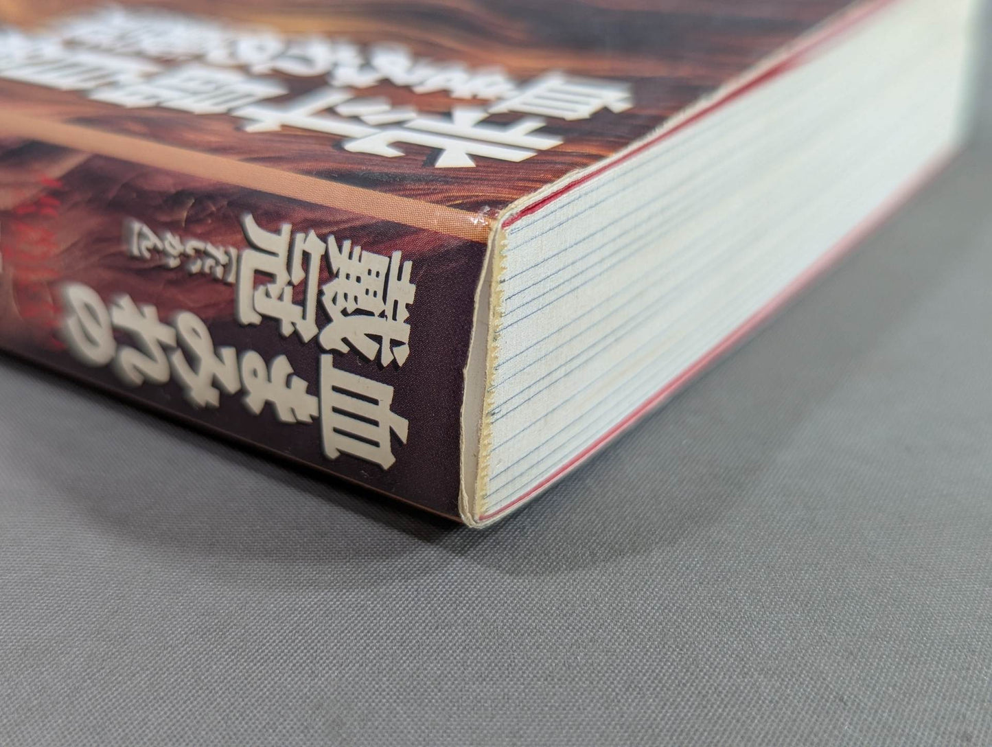 Bloody Crowning Akira Hokuto's Autobiography