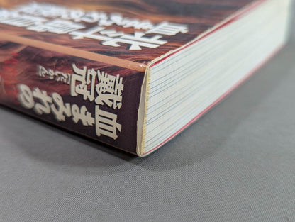 血まみれの戴冠 北斗晶自叙伝