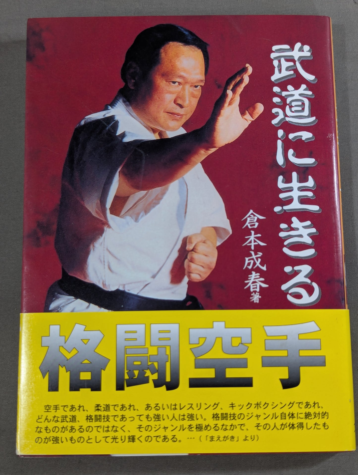Fighting KARATE Living in Martial Arts