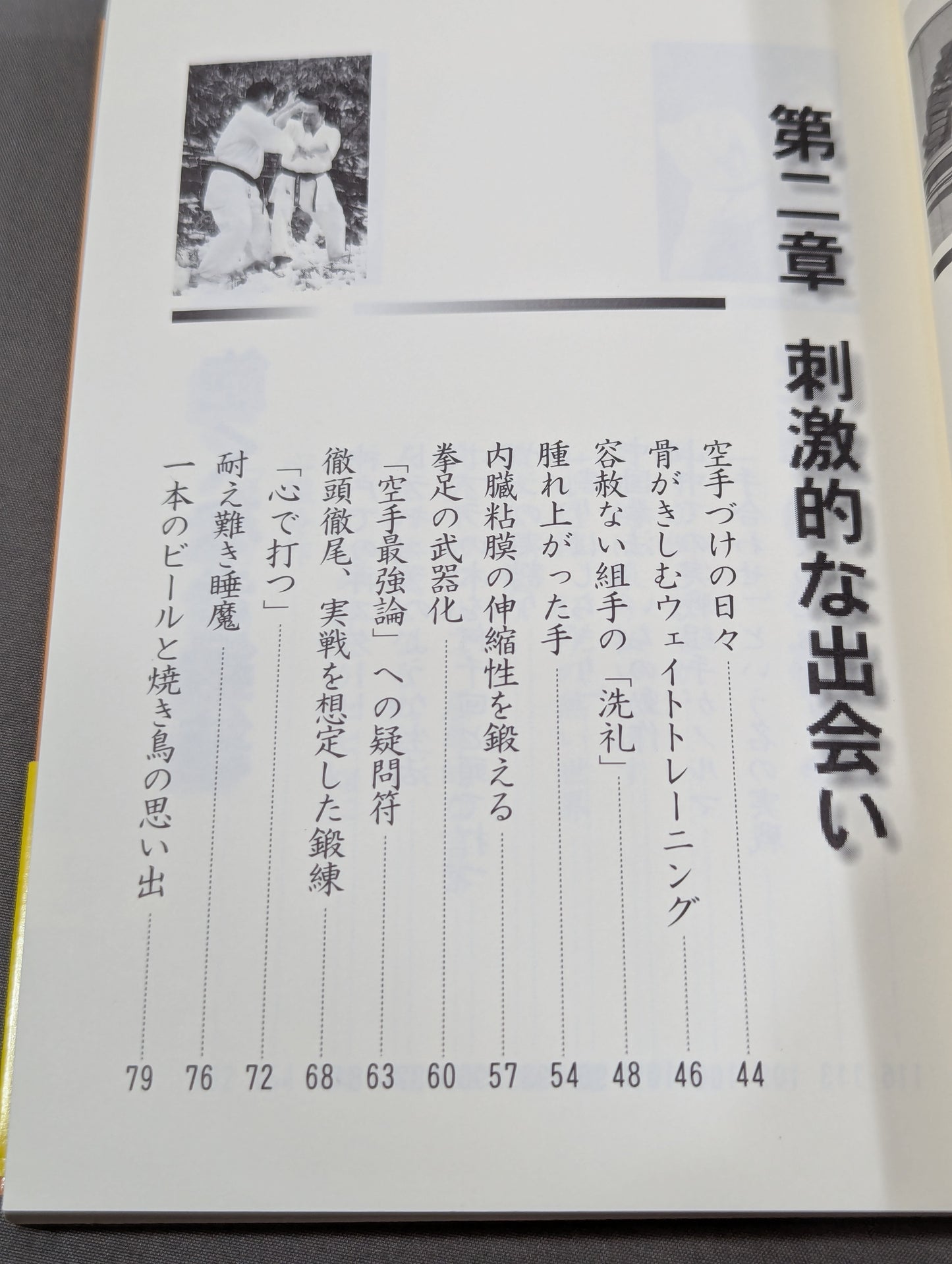 Fighting KARATE Living in Martial Arts