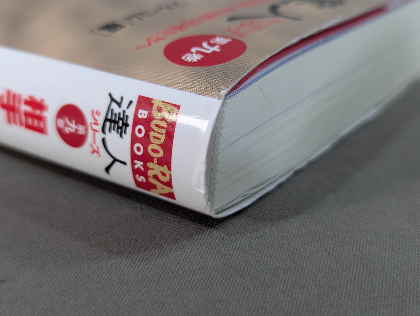 【DVD付】達人シリース第九巻 相手を3秒で倒す技50! テイクダウン大全