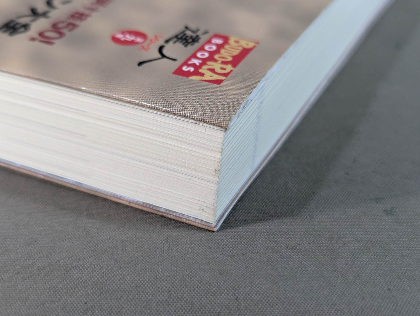 【DVD付】達人シリース第九巻 相手を3秒で倒す技50! テイクダウン大全