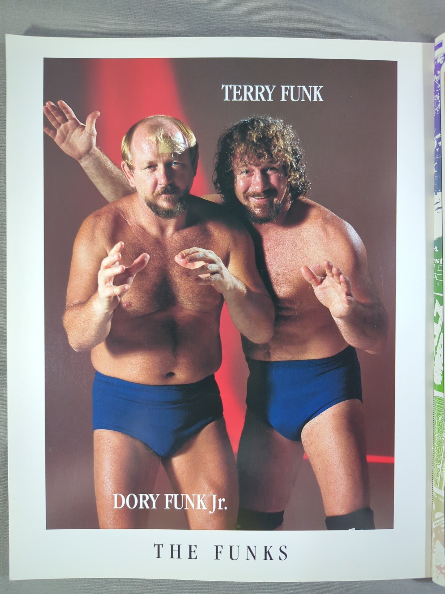 ゴング増刊号 ポートレート型プロレス・フォトブック – 闘道館