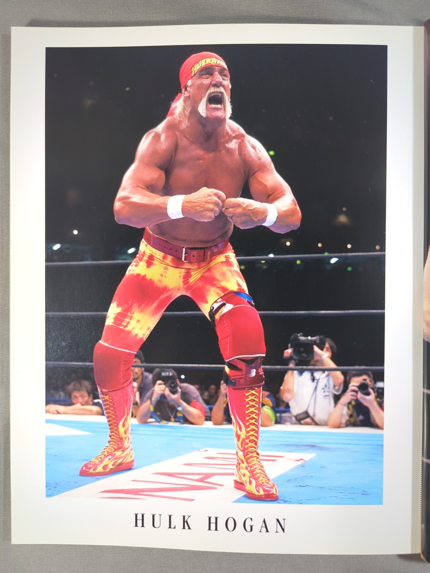 Gong Extra Issue Pro-Photo Type Pro Wrestling ・Photo book