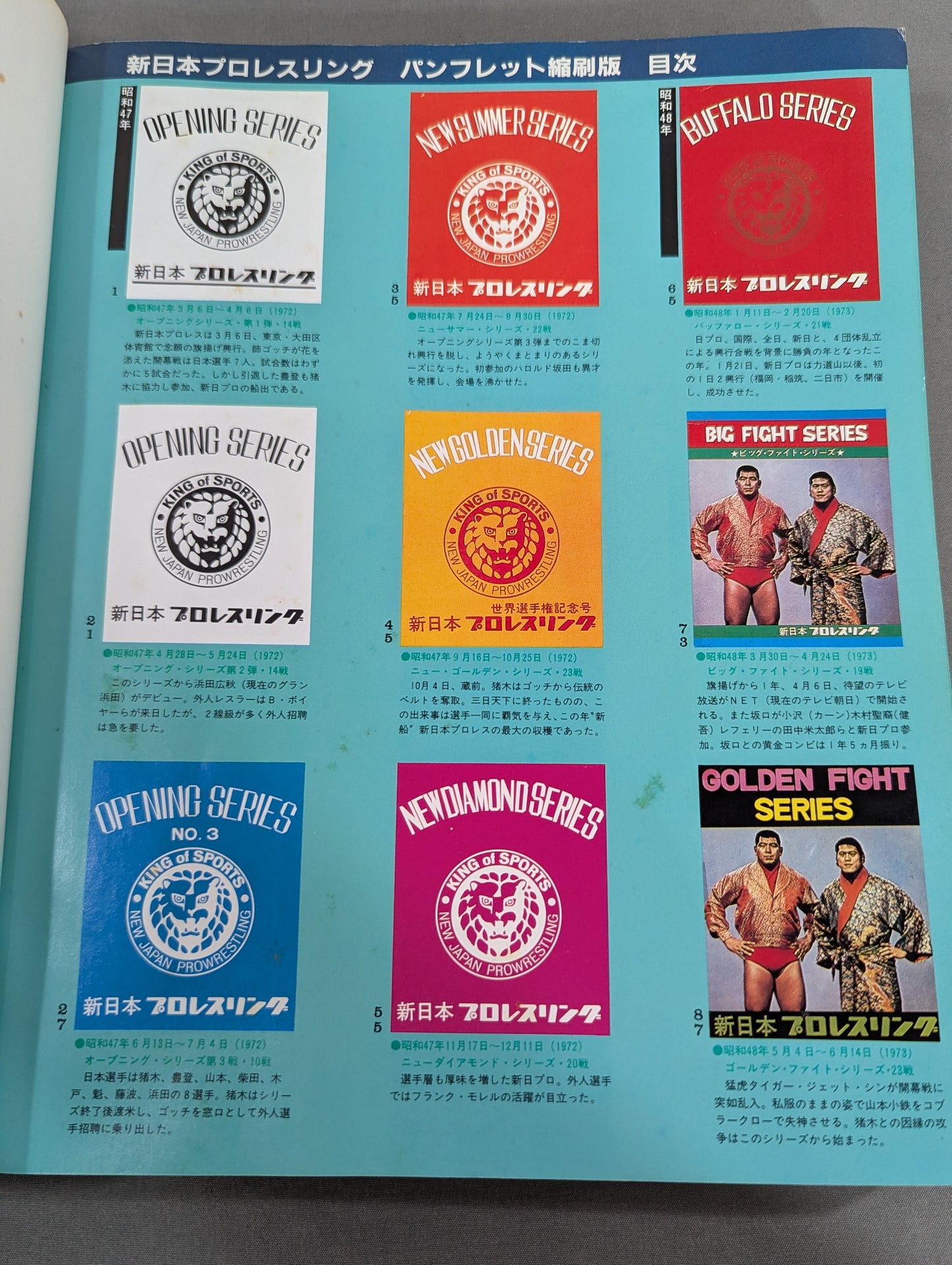 New Japan Pro Wrestling Pro-wrestling  Condensed version of the pamphlet Volume 1 [Permanent Preservation Version]