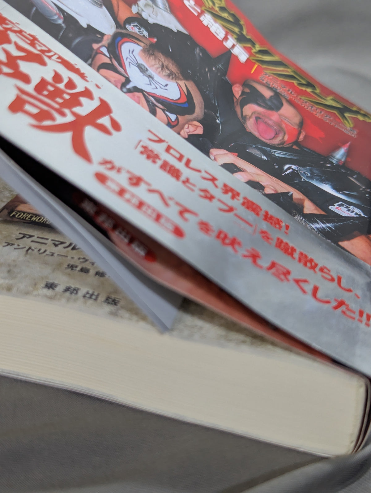 Road Warriors: Ruin and Climax