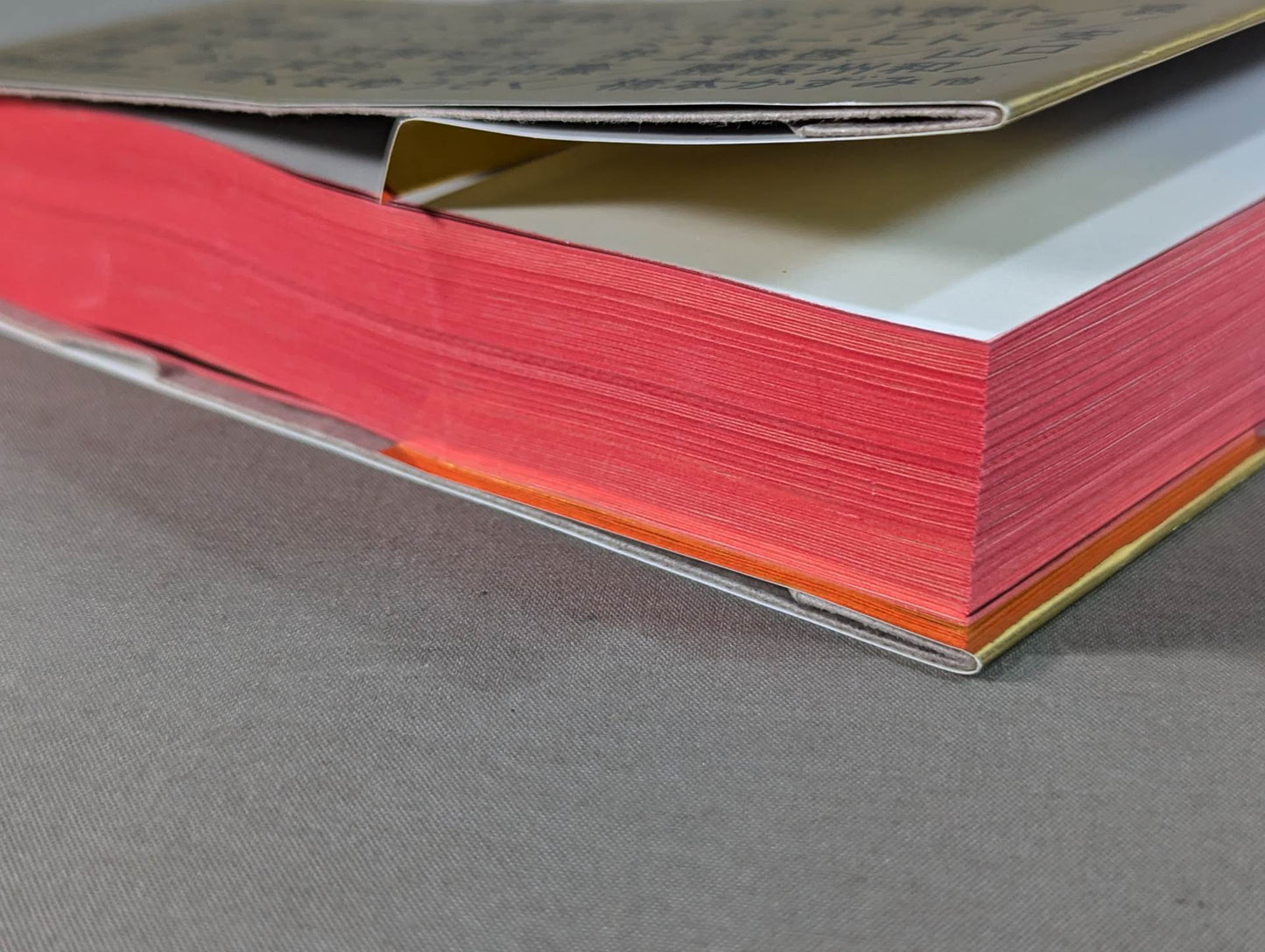 The King of Paper Destruction Shinya Hashimoto  We Loved