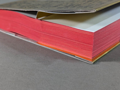 The King of Paper Destruction Shinya Hashimoto  We Loved