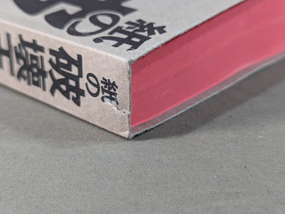 The King of Paper Destruction Shinya Hashimoto  We Loved