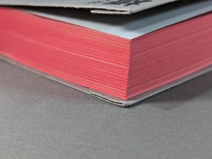 The King of Paper Destruction Shinya Hashimoto  We Loved