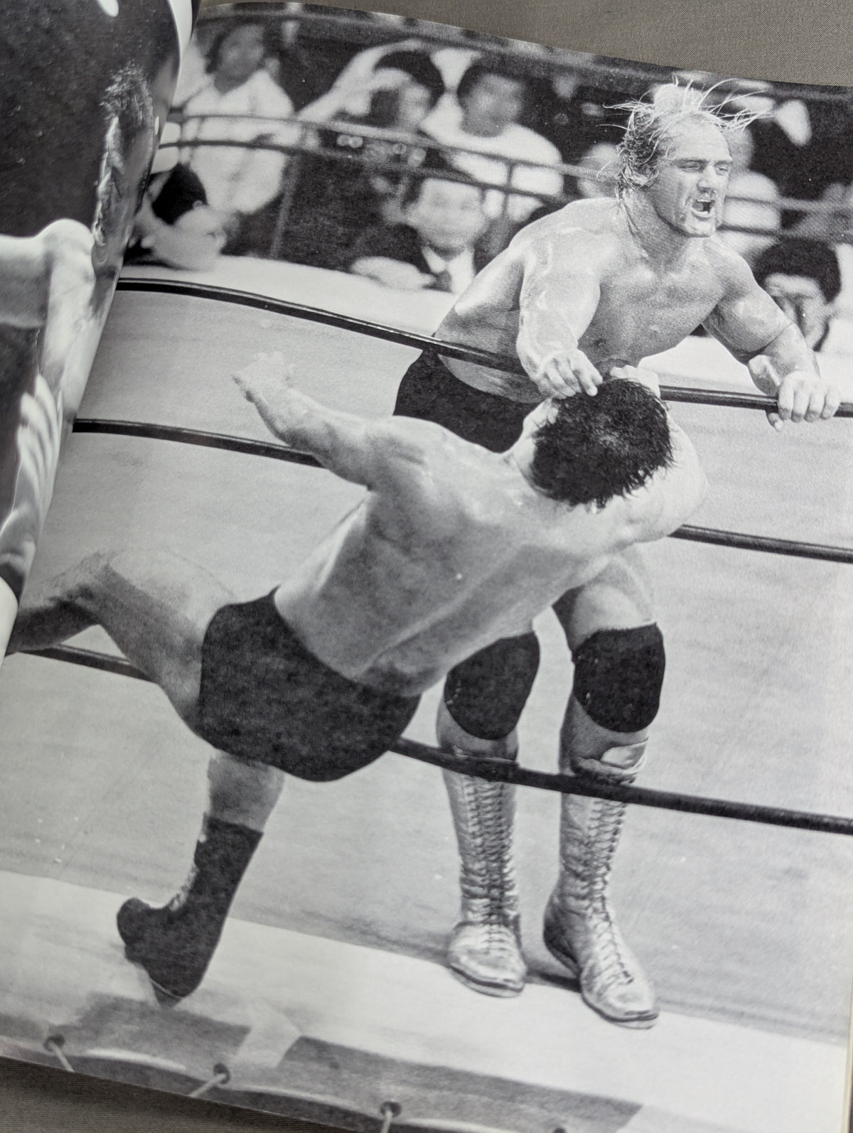 Inoki's Dream