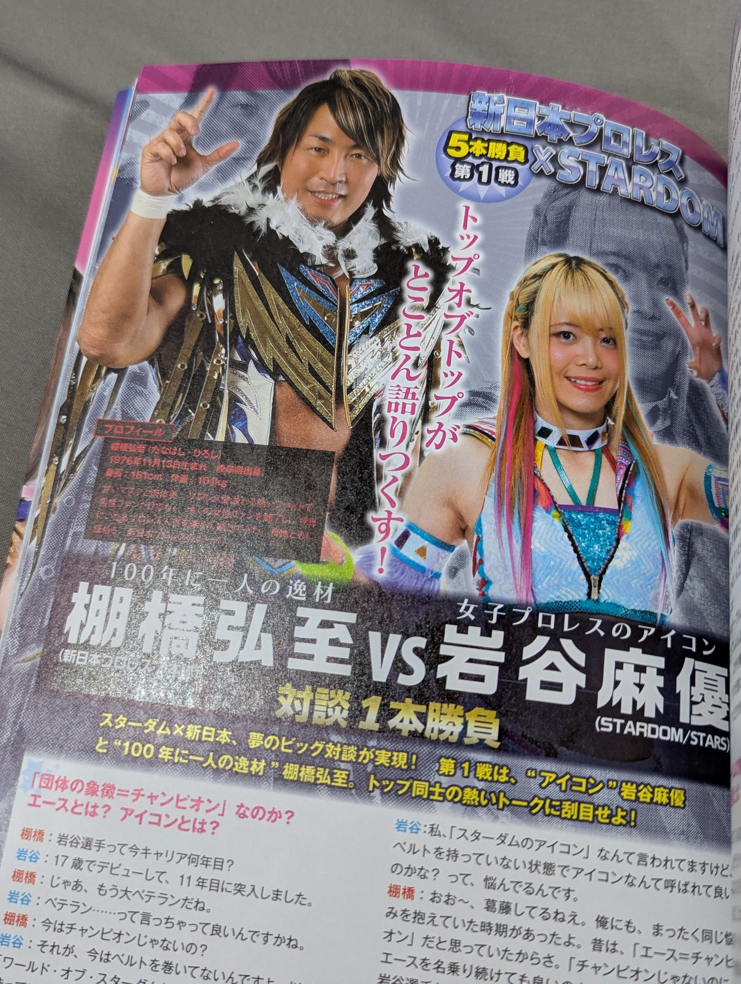 STARDOM FANBOOK