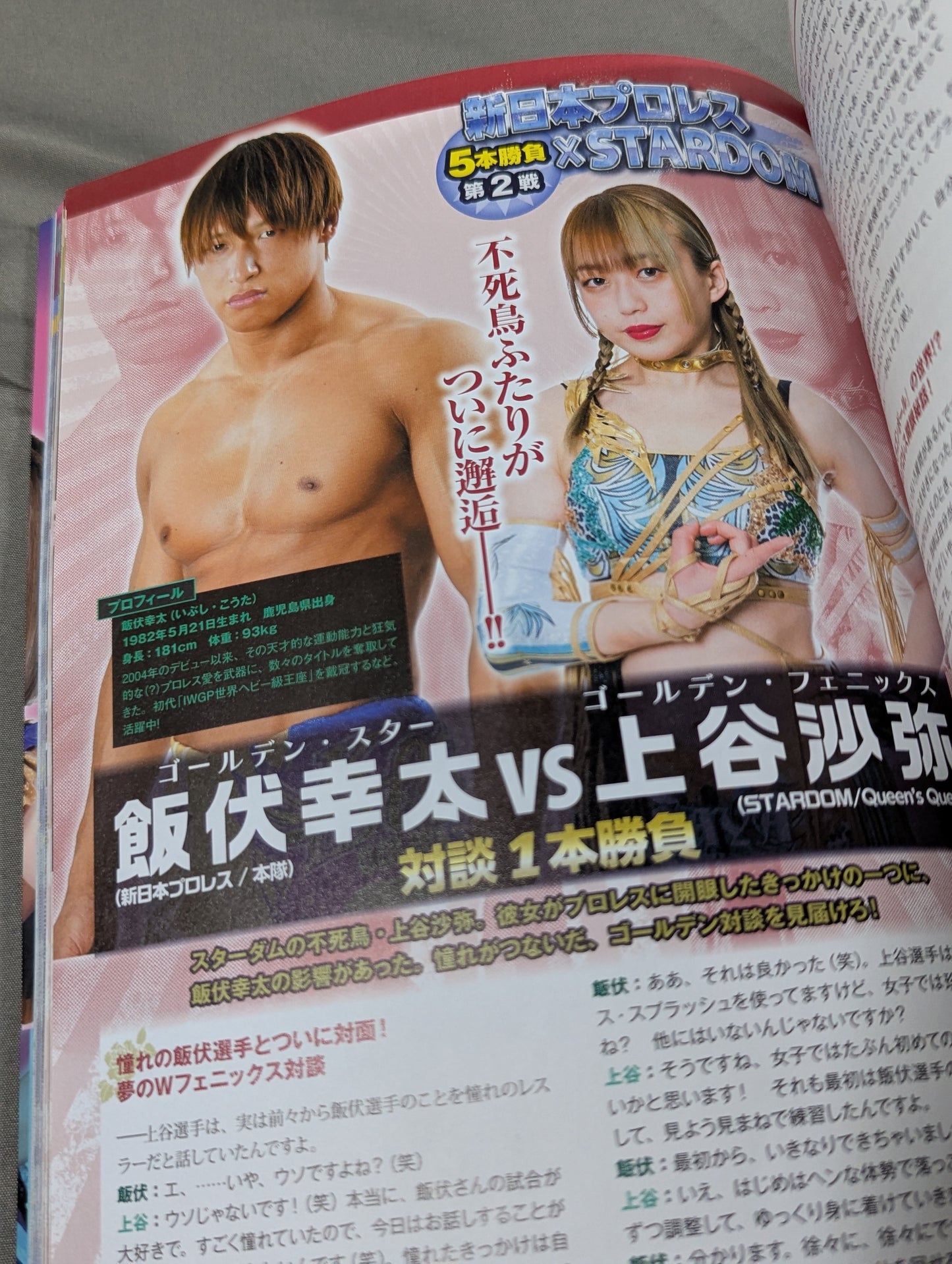 STARDOM FANBOOK