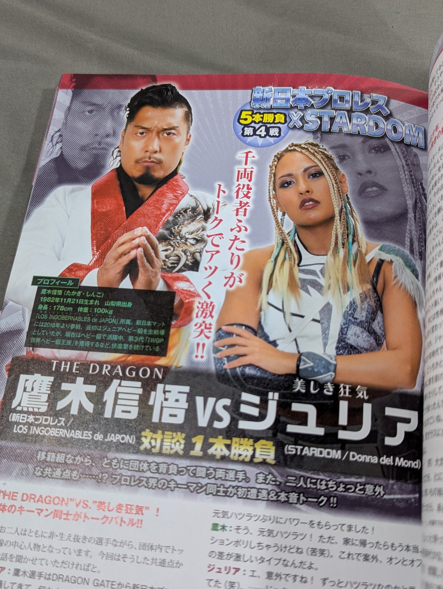 STARDOM FANBOOK