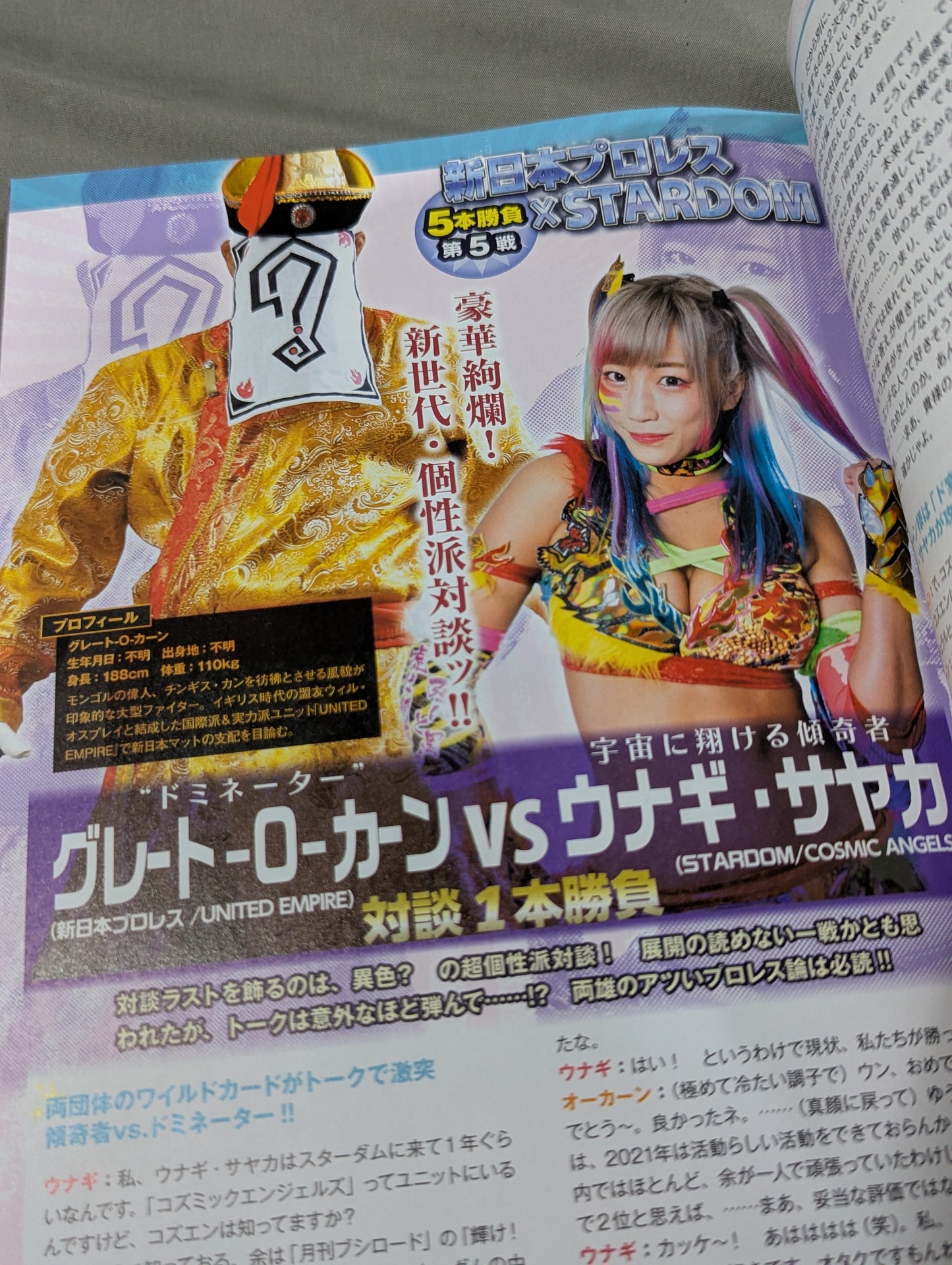 STARDOM FANBOOK