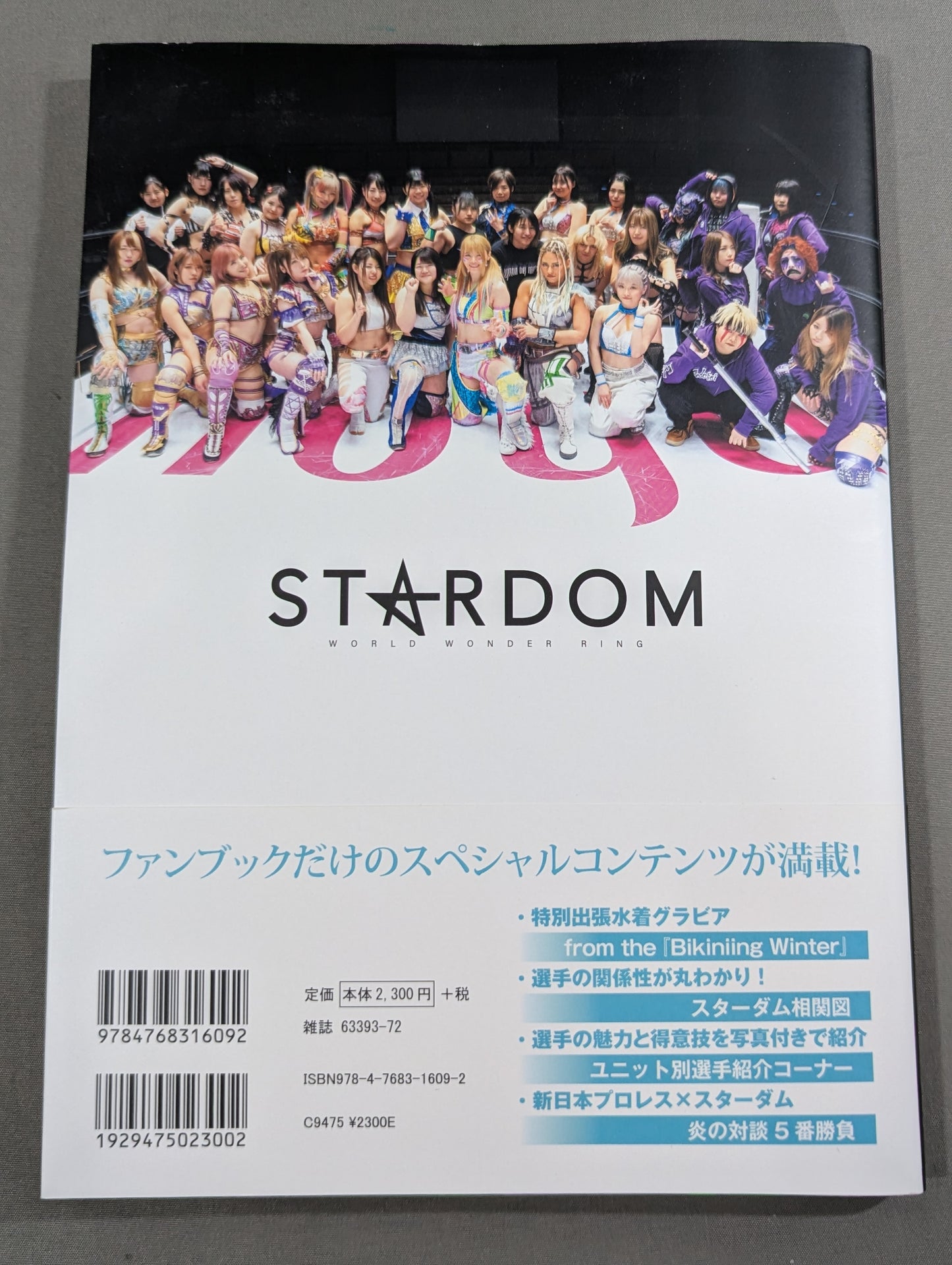 STARDOM FANBOOK
