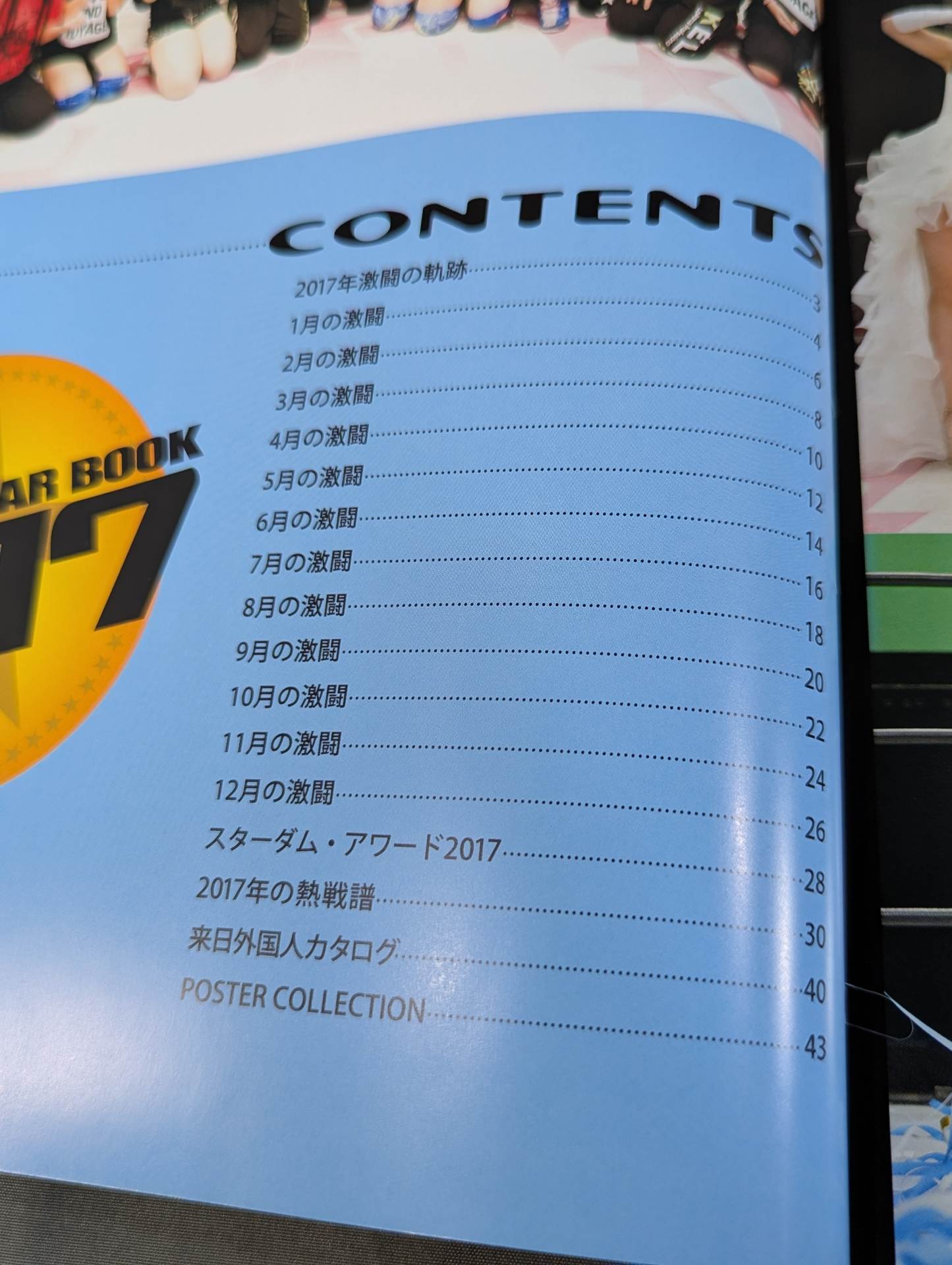 STARDOM YEAR BOOK 2017