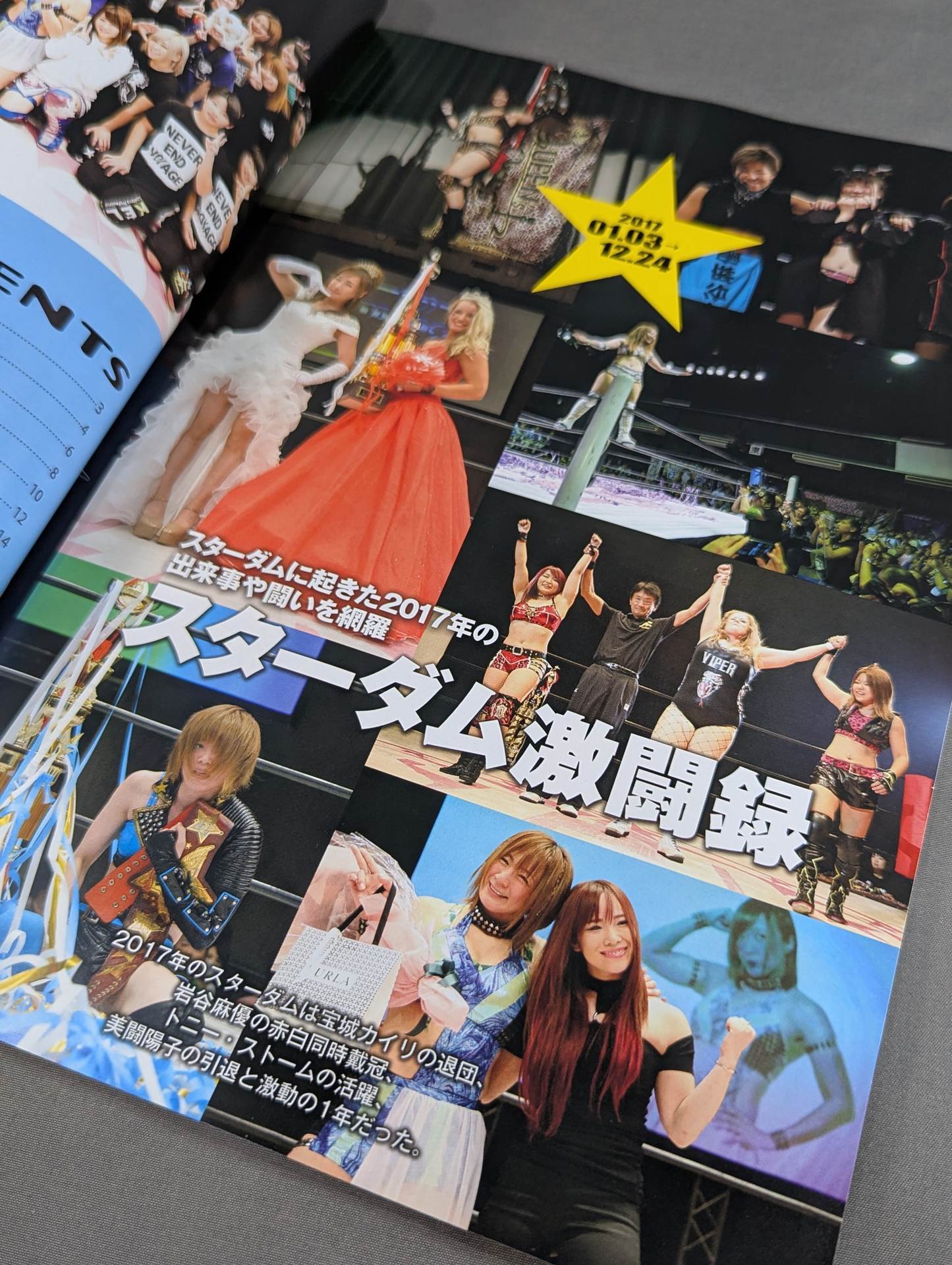 STARDOM YEAR BOOK 2017