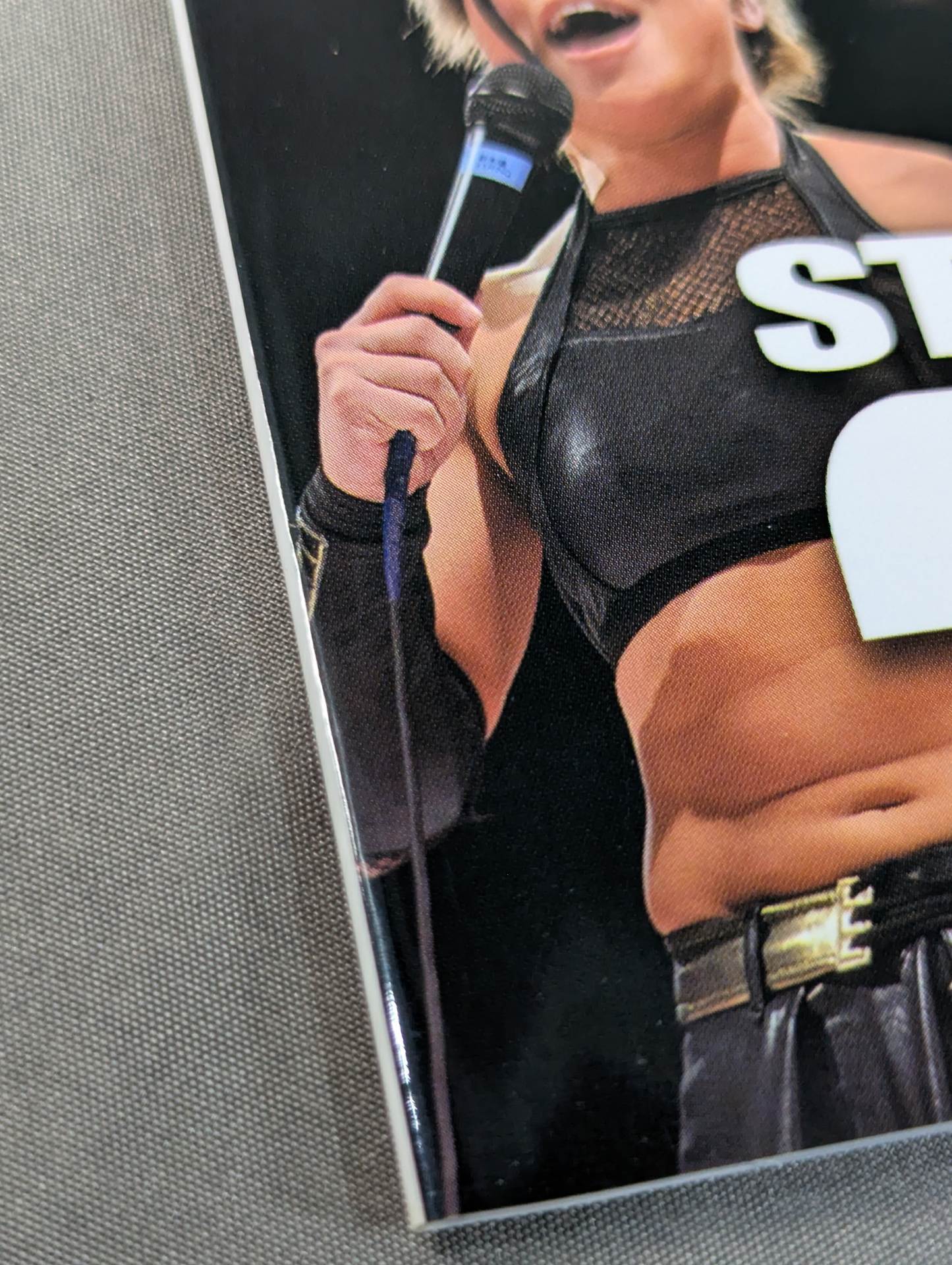 STARDOM YEAR BOOK 2017