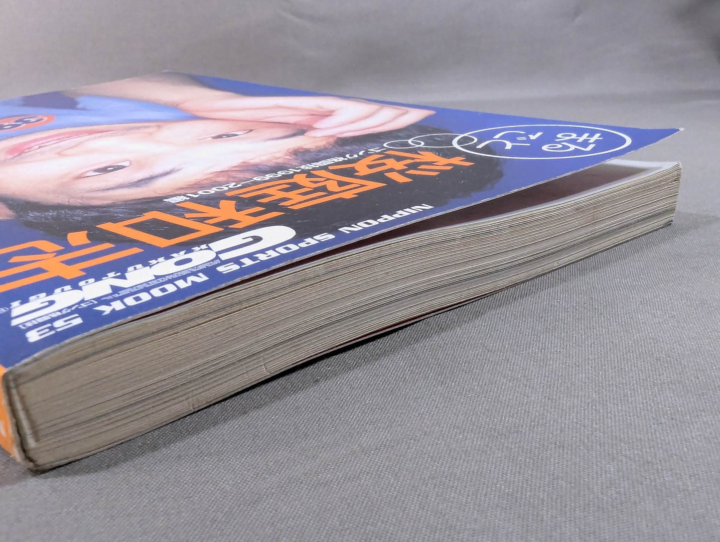Marugoto Kazushi Sakuraba Gong Martial Arts NIPPON SPORTS MOOK 53