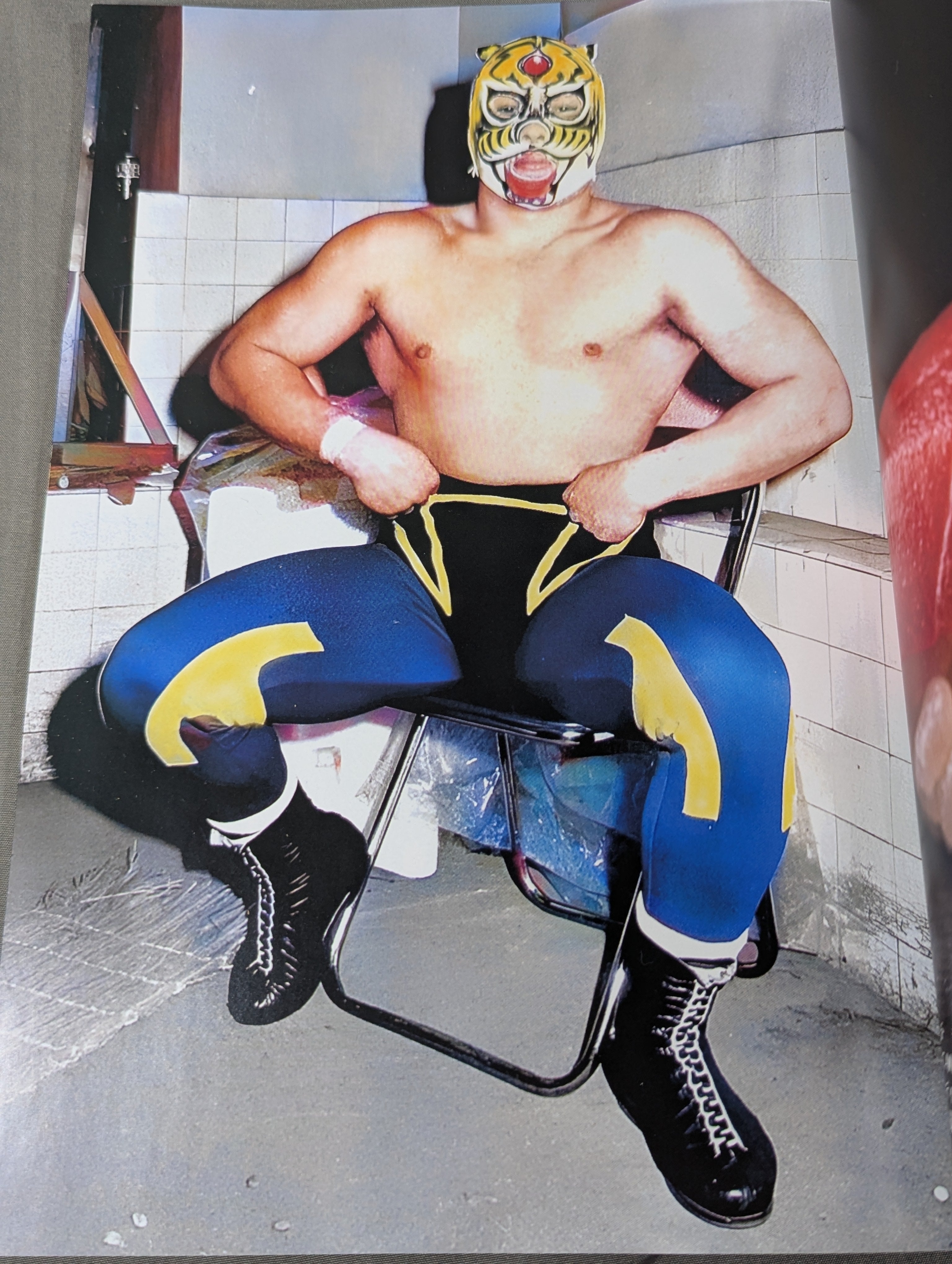 ザ・タイガーマスク (1983) 1993年復刻盤 初代タイガーマスク写真集 THE GOLDEN LEGEND 1981-1983 – 闘道館