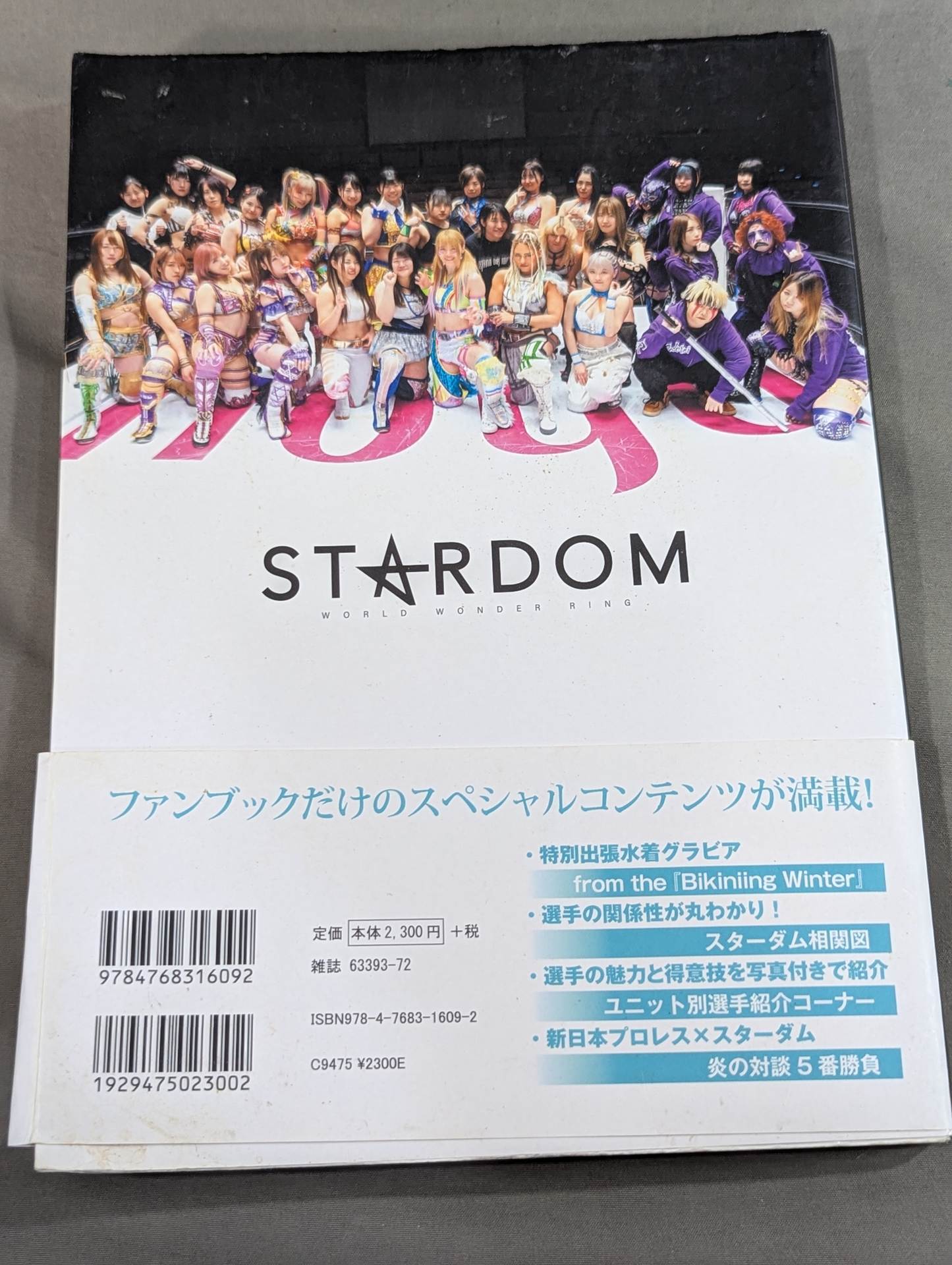 STARDOM FANBOOK