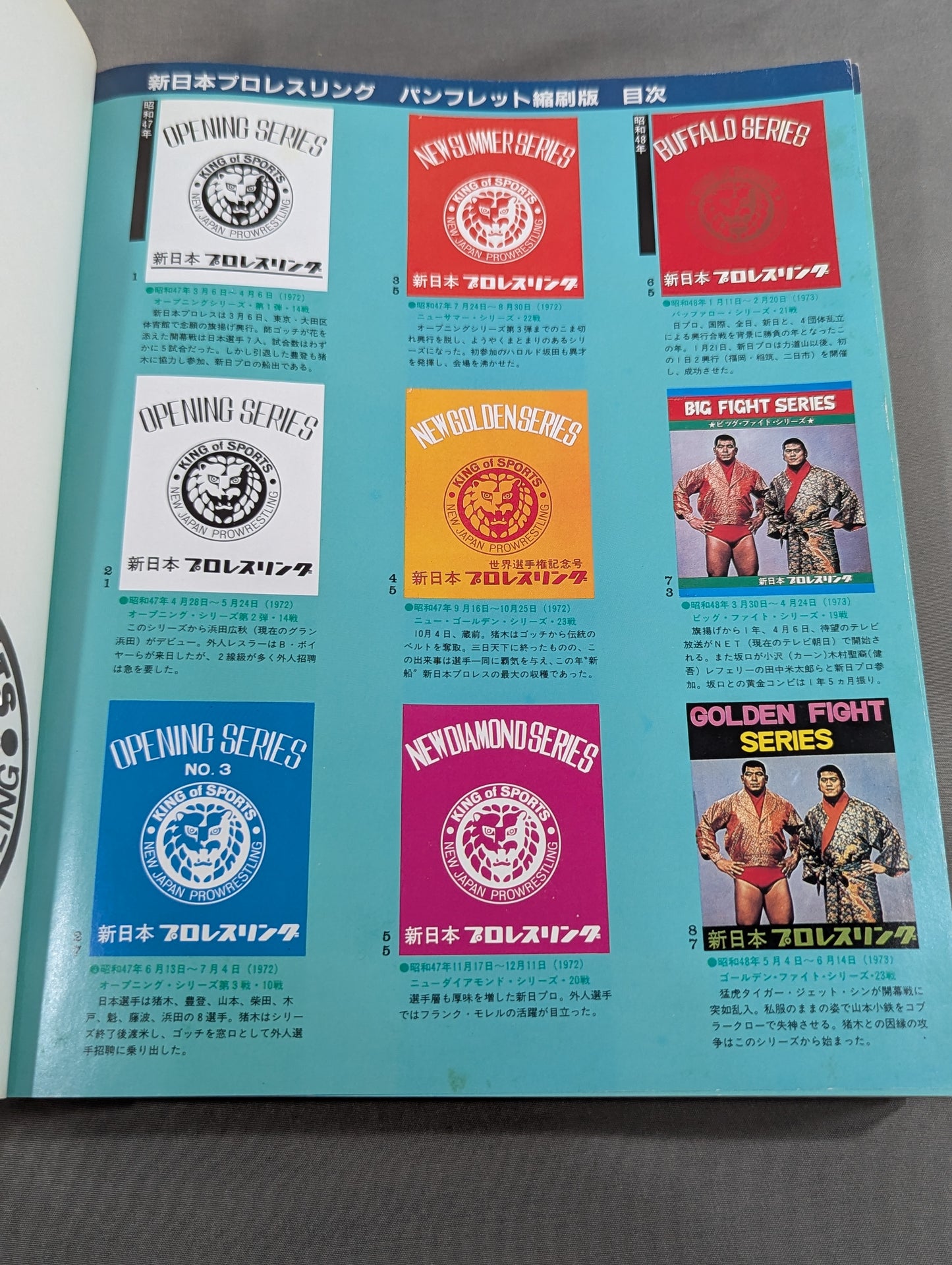 New Japan Pro Wrestling Pro-wrestling  Condensed version of the pamphlet Volume 1 [Permanent Preservation Version]