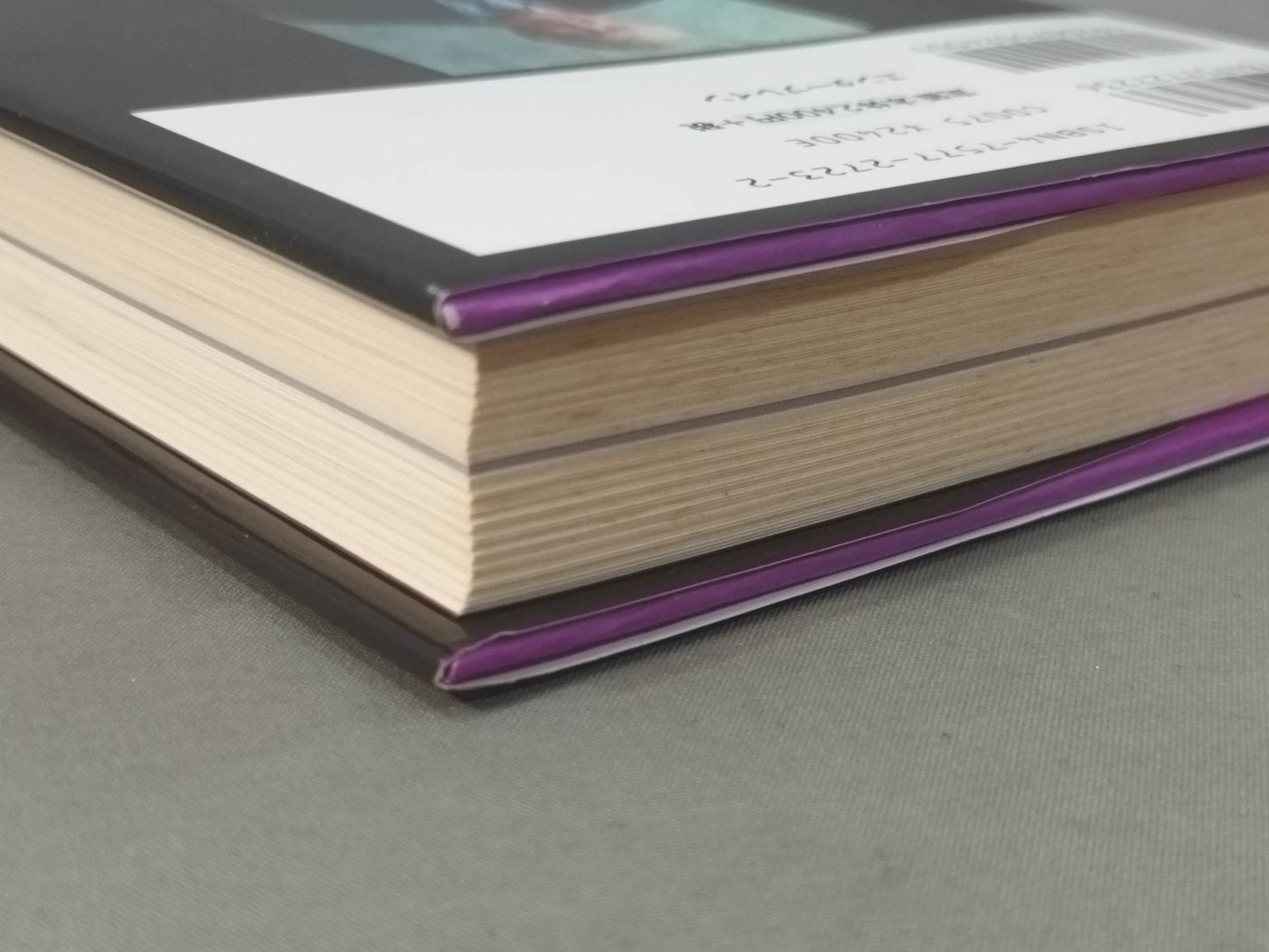 ハーリー・レイス自伝 キング・オブ・ザ・リング