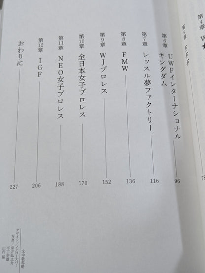 Heisei mat world Pro Wrestling promotion The end of