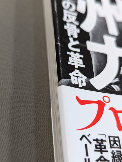 証言 長州力 在日レスラーの反骨と革命