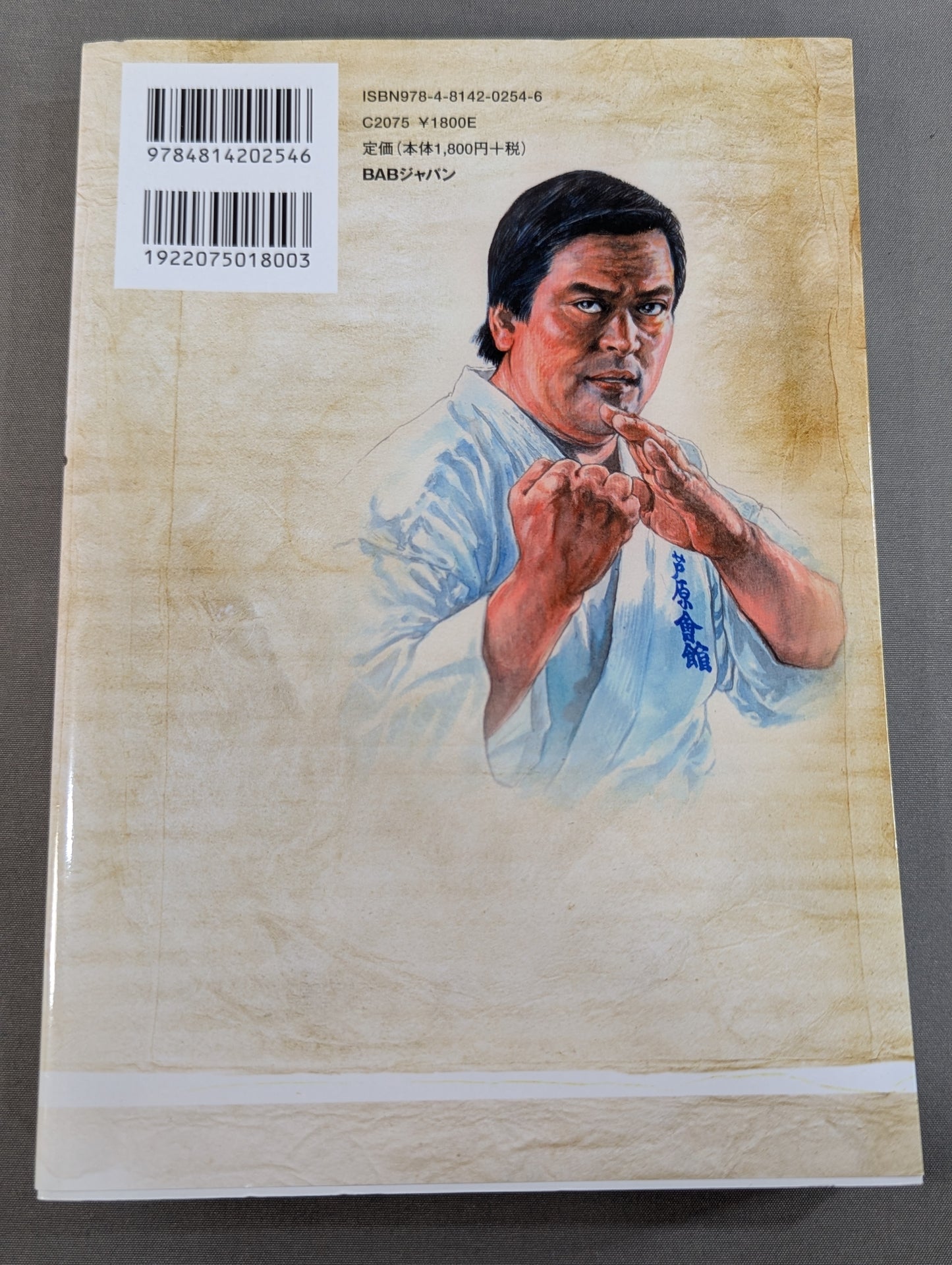 Hideyuki Ashihara The essence of Sabaki The technique of "hitting without letting you hit" left by the genius KARATE family