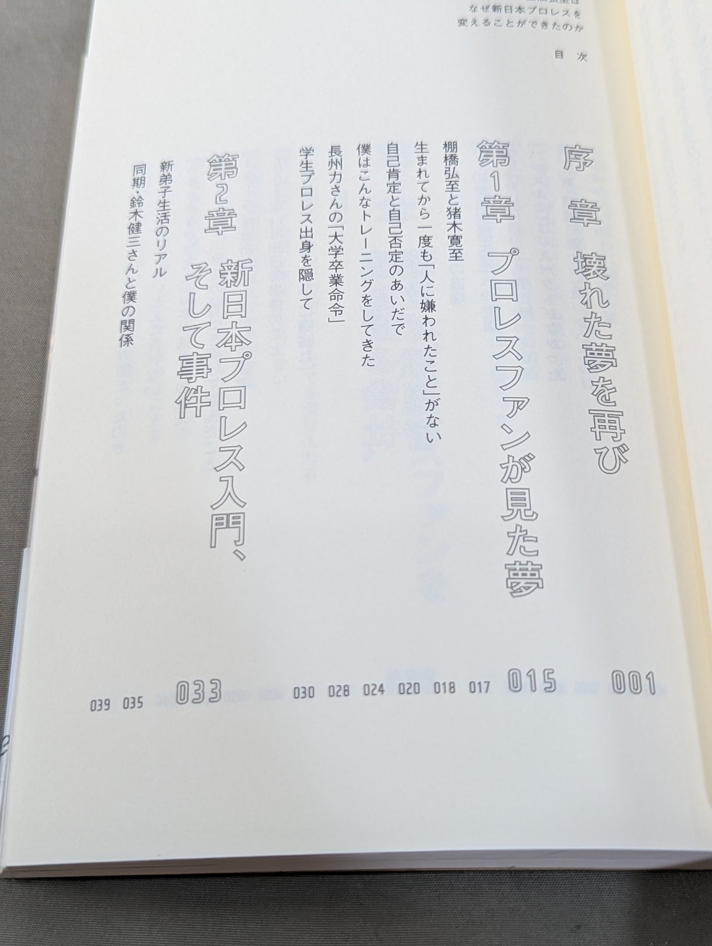 Why Hiroshi Tanahashi  New Japan Pro Wrestling Could it have been changed?