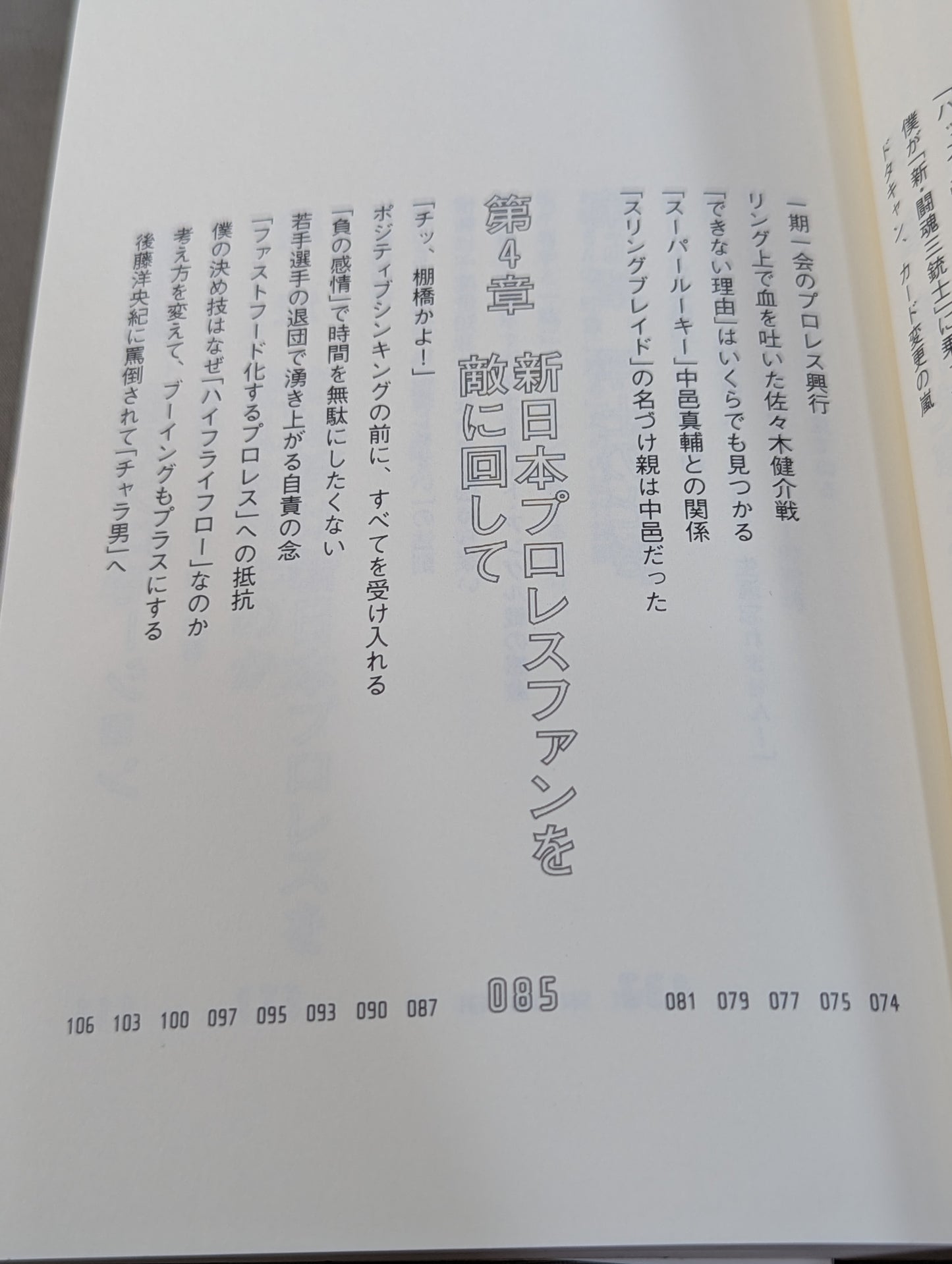 Why Hiroshi Tanahashi  New Japan Pro Wrestling Could it have been changed?