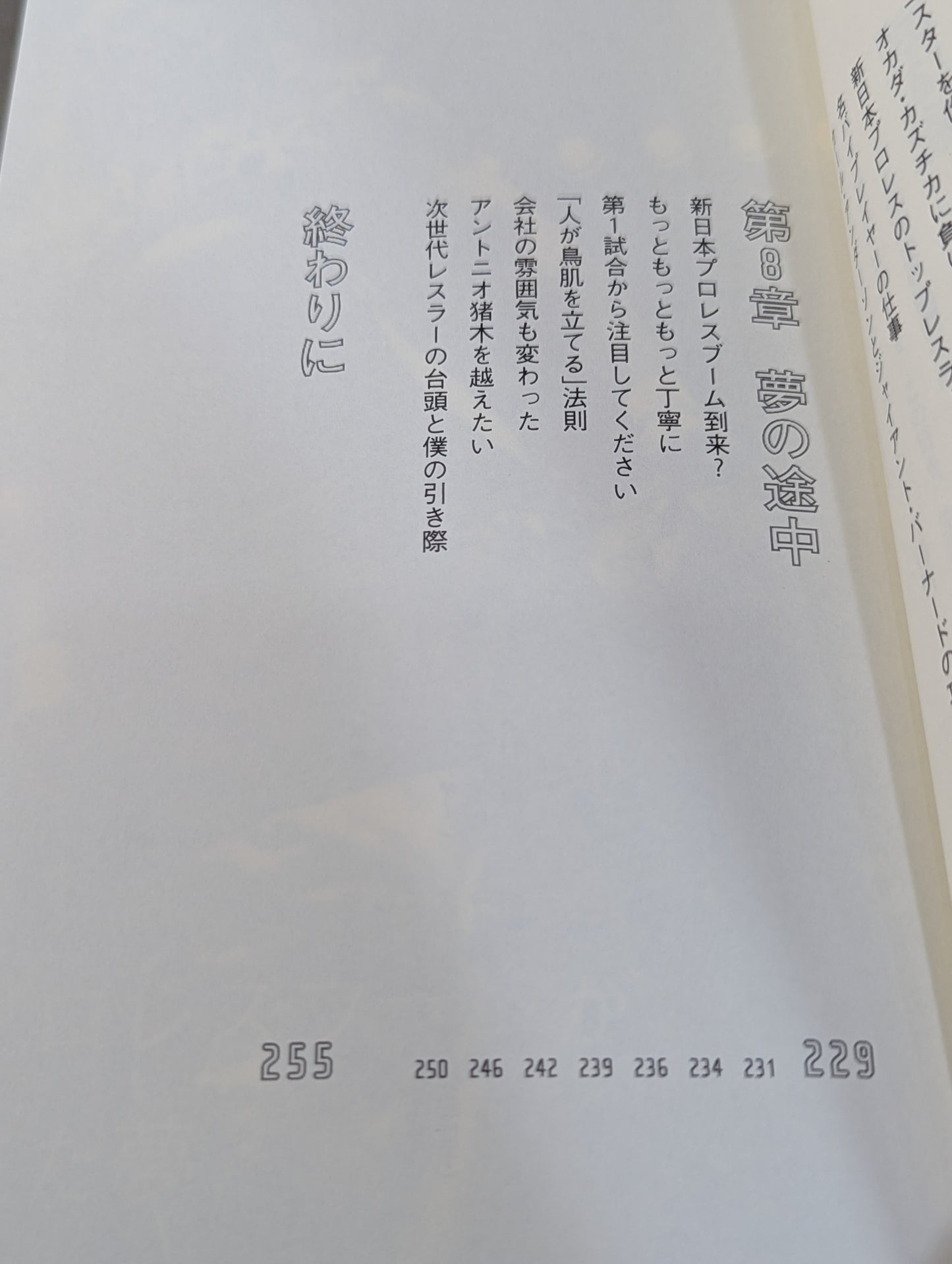 Why Hiroshi Tanahashi  New Japan Pro Wrestling Could it have been changed?